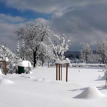 Hotel-Gasthof Sternen Winterlingen Εξωτερικό φωτογραφία