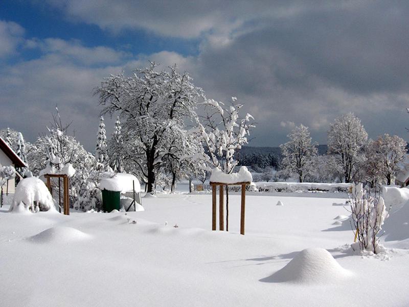 Hotel-Gasthof Sternen Winterlingen Εξωτερικό φωτογραφία